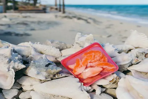 The Versatility of Food Grade Silicone Rubber