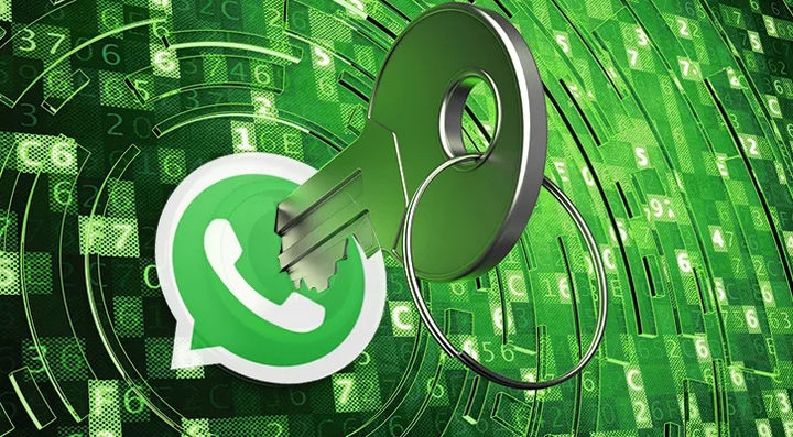 外贸人如何借助WhatsApp实现获客引流和转化