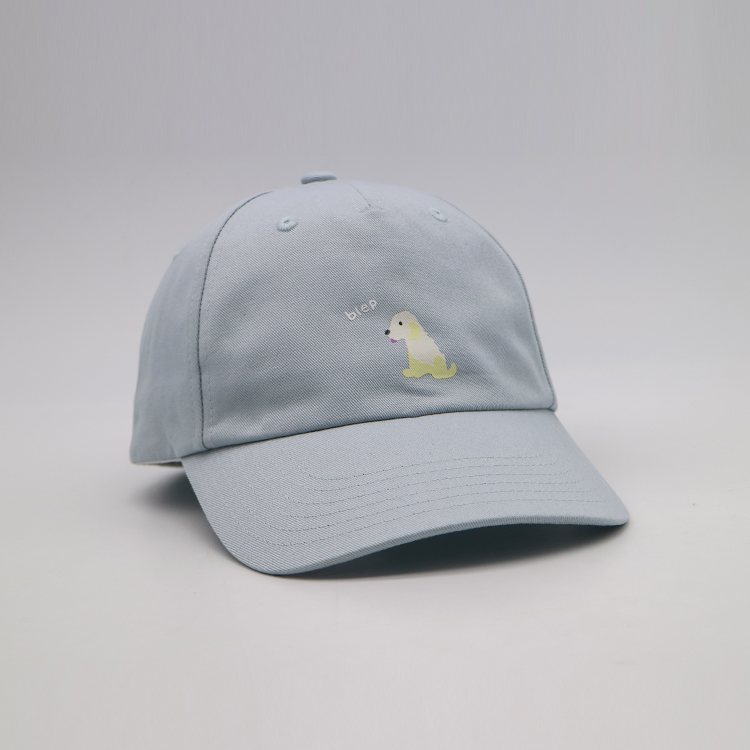 Everyday Premium Dad Hat Unisex Cotton Baseball Cap for Men and Women Adjustable Lightweight Polo Style Curved Brim