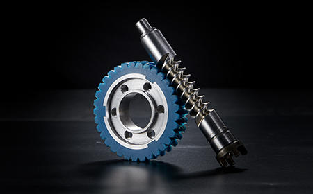 Special Worm Gear For Automobile EPS
